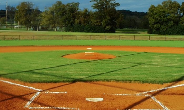 Fall Ball & Sandlot Info