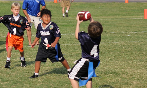 Flag Football Begins in Aug!