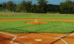 Fall Ball & Sandlot Info